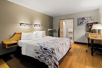 Superior Room, 1 King Bed, Accessible (Roll-In Shower, Smoke Free)