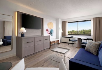 Superior Suite, Multiple Beds (Two Queens + Murphy Bed)