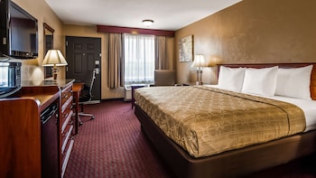 Standard Room, 1 King Bed, Smoking, Refrigerator & Microwave (Walk-in Shower)