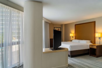 Panoramic Suite, 1 King Bed