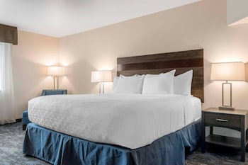 Room, 1 King Bed, Accessible, Non Smoking