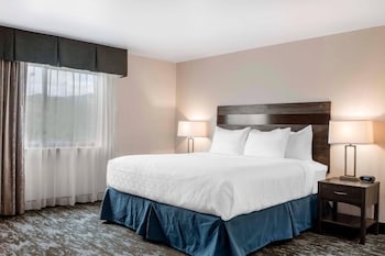 Suite, Multiple Beds, Non Smoking (Efficiency, Upgrade)