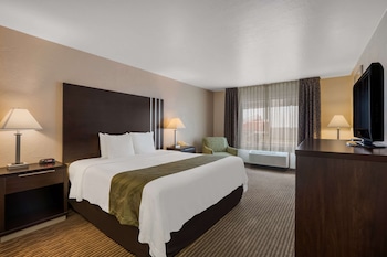 Room, 1 King Bed, Accessible, Non Smoking