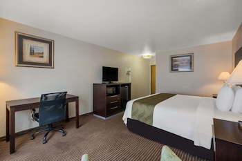 Room, 1 King Bed, Accessible, Non Smoking