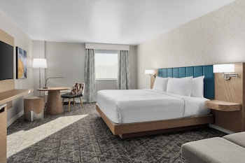 Room, 1 King Bed (Wetbar)