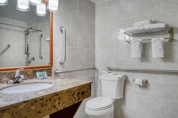 Standard Room, 1 Queen Bed, Accessible, Refrigerator & Microwave (Refrigerator & Microwave)