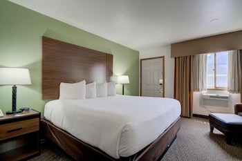 Standard Room, 1 King Bed, Non Smoking, Mountain View