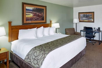Room, 1 King Bed, Accessible, Non Smoking