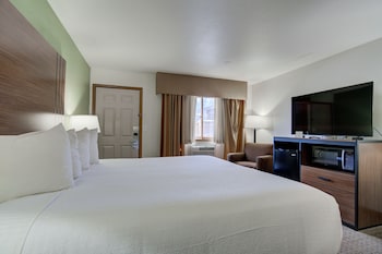 Standard Room, 1 King Bed, Non Smoking, Mountain View