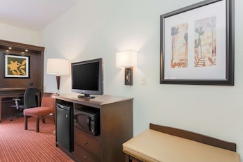 Room, 1 Queen Bed, Accessible, Non Smoking (Roll-in Shower)