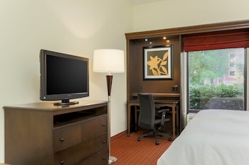 Room, 1 King Bed, Non Smoking (Hearing)