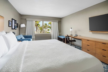 Room, 1 King Bed with Sofa bed