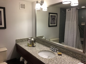 Studio Suite, 1 King Bed with Sofa bed, Non Smoking (Studio)