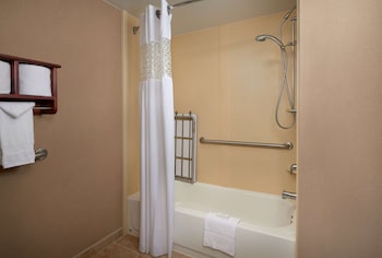 Room, 1 Double Bed, Accessible, Bathtub