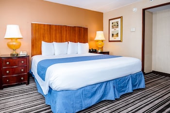 Accessible, 1 King Bed