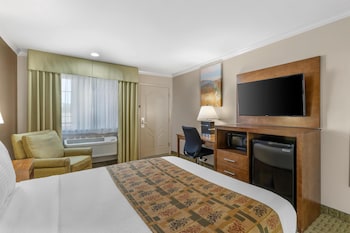 Standard Room, 1 King Bed, Accessible, Refrigerator & Microwave (Walk-in Shower)