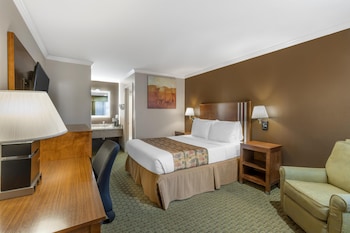 Standard Room, 1 King Bed, Accessible, Refrigerator & Microwave (Walk-in Shower)