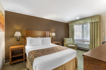 Standard Room, 1 King Bed, Accessible, Refrigerator & Microwave (Walk-in Shower)