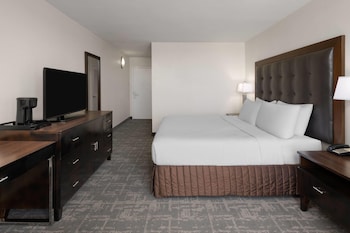 Room, 1 King Bed, Non Smoking