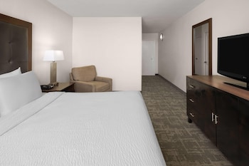 Room, 1 King Bed, Accessible, Non Smoking (Mobility Bathtub w/Grab Bars)