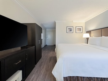 Standard Room, 1 King Bed, Accessible (Communications, Roll-In Shower)