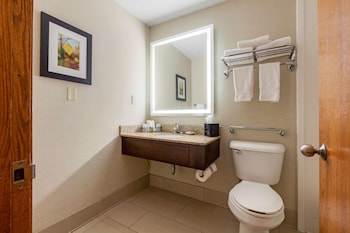 Standard Room, 1 King Bed, Non Smoking, Refrigerator & Microwave (with Sofabed)