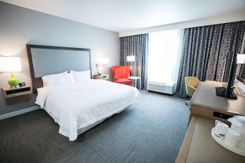 Room, 1 King Bed, Non Smoking, Refrigerator & Microwave