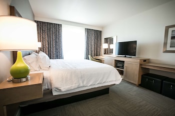 Room, 1 King Bed, Accessible, Non Smoking (mob/hearing acc w/ bathtub)