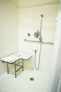 Room, 1 King Bed, Accessible, Non Smoking (w/ roll-in shower)