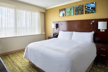 Room, 1 King Bed (Mobility/Hearing Accessible, Tub)