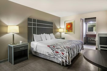 Superior Room, 1 King Bed, Non Smoking