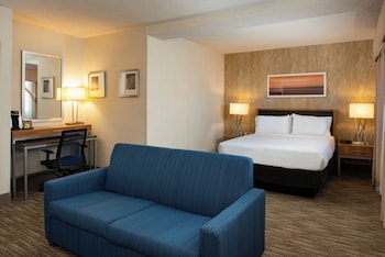 Suite, 1 King Bed