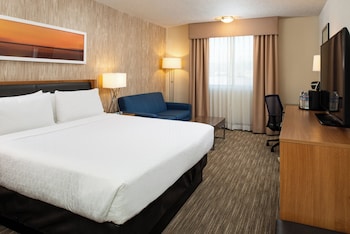 Standard Room, 1 King Bed, Accessible (Communications, Roll-in Shower)