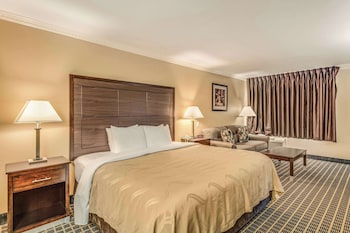 Standard Room, 1 King Bed, Non Smoking (Pet Friendly)