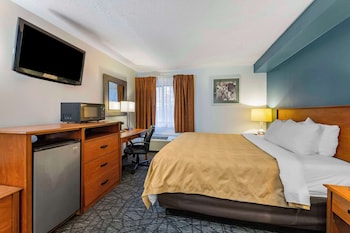 Standard Room, 1 King Bed, Non Smoking