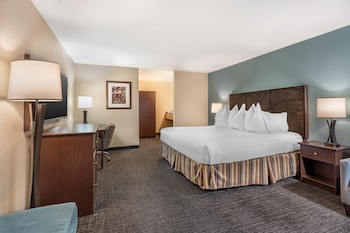 Standard Room, 1 King Bed, Non Smoking, Refrigerator