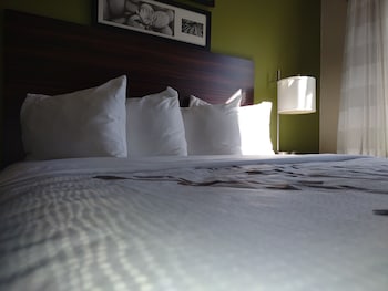Standard Room, 2 Double Beds, Non Smoking
