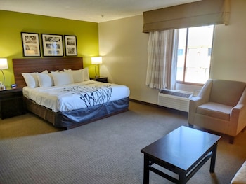 Suite, 1 King Bed with Sofa bed, Non Smoking