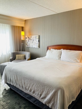 Room, 1 King Bed