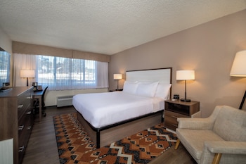 Standard Room, 1 King Bed, Mountain View