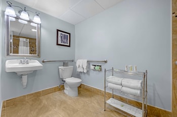 Room, 1 King Bed, Accessible, Non Smoking