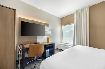Standard Room, 1 King Bed with Sofa bed, Non Smoking