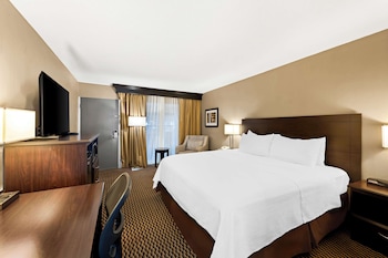 Standard Room, 1 King Bed, Non Smoking, Refrigerator & Microwave (Pet Friendly)