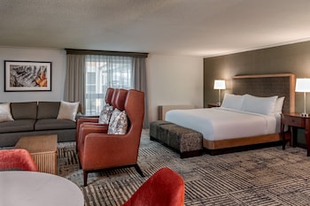 Studio Suite, 1 King Bed with Sofa bed