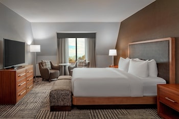 Suite, 1 King Bed with Sofa bed, Mountain View