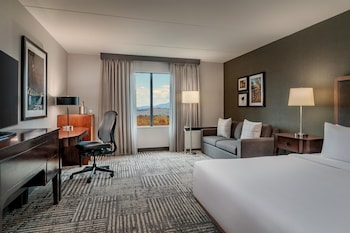 Room, Mobility Accessible (Mobility, Roll-in Shower)