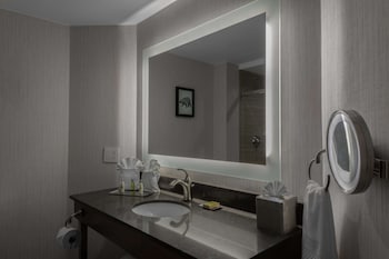 Room, 1 King Bed