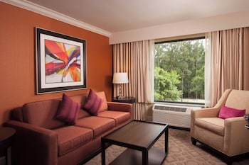 Junior Suite, 1 King Bed with Sofa bed