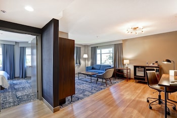 Suite, 1 King Bed with Sofa bed