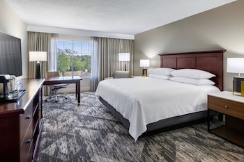 Room, 1 King Bed (Mobility Accessible, Tub)